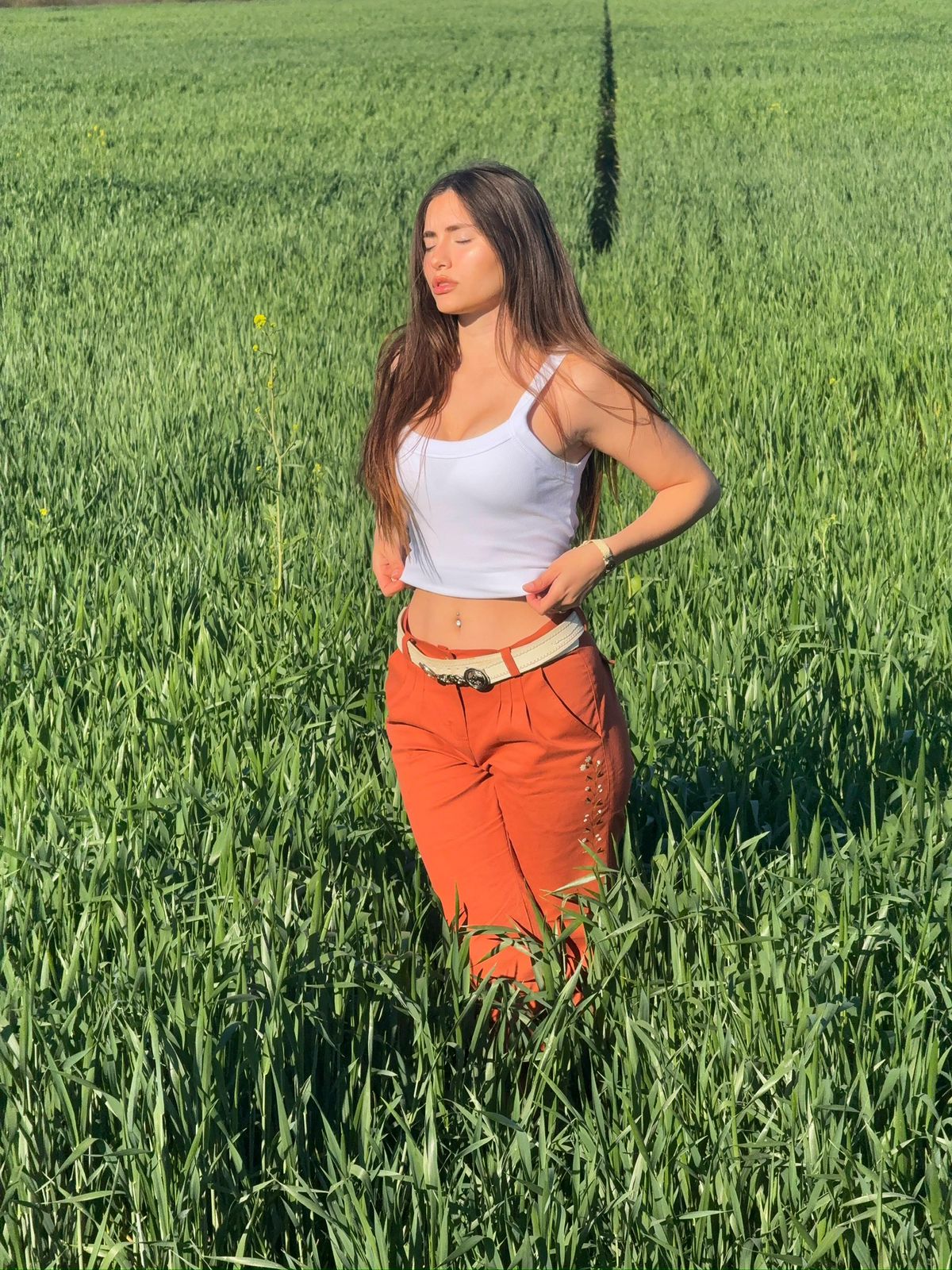 Bombacha gabardina elastizada bordada ladrillo